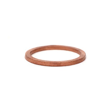 Load image into Gallery viewer, BLOX Racing Fuel Inlet Fitting Crush Washers - 2 Pack - Detail View