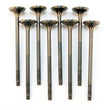 Load image into Gallery viewer, BLOX Racing High Compression Exhaust Valve Set for D-series SOHC VTEC (D16Z-Y) - Main Product View