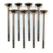 Load image into Gallery viewer, BLOX Racing High Compression Exhaust Valve Set for D-series SOHC VTEC (D16Z-Y) - Main Product View