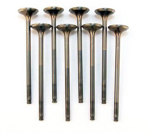 BLOX Racing High Compression Exhaust Valve Set for D-series SOHC VTEC (D16Z-Y) - Main Product View