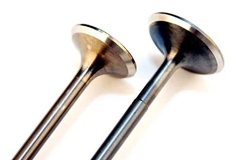 BLOX Racing High Compression Intake Valve Set For D-series SOHC VTEC (D16Z-Y) - Main Product View