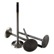 Load image into Gallery viewer, BLOX Racing High Compression Intake Valve Set For K-series DOHC i-VTEC - Main Product View
