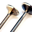 Load image into Gallery viewer, BLOX Racing High Compression Intake Valve Set For D-series SOHC VTEC (D16Z-Y) - Main Product View