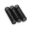 Load image into Gallery viewer, BLOX Racing Honda HD Transmission Detent Springs - Additional View 5