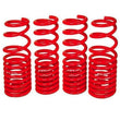 Load image into Gallery viewer, BLOX Racing Lowering Springs Tesla Model 3 Long Range RWD