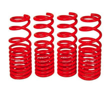 Load image into Gallery viewer, BLOX Racing Lowering Springs Tesla Model 3 Long Range RWD