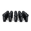 Load image into Gallery viewer, BLOX Racing Street Series Forged Lug Nuts - Black 12 x 1.25mm - Set of 16 - Side View