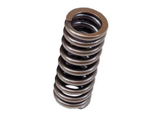 Load image into Gallery viewer, BLOX Racing Valve Springs for D-series SOHC VTEC D16Z-Y (1.6L SOHC VTEC) - Main Product View