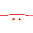 Load image into Gallery viewer, BMR 15-22 S550 Mustang Sway Bar Kit Rear Hollow 22mm Non-Adjustable Red