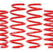 Load image into Gallery viewer, BMR Suspension 08-23 Dodge Challenger / 06-23 Dodge Charger Demon Killer Drag Springs - Set of 4
