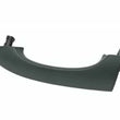 Load image into Gallery viewer, BMW Door Handle 51-21-8-257-737