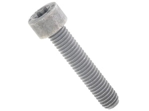 BMW Fillister Head Screw 07-12-9-905-386