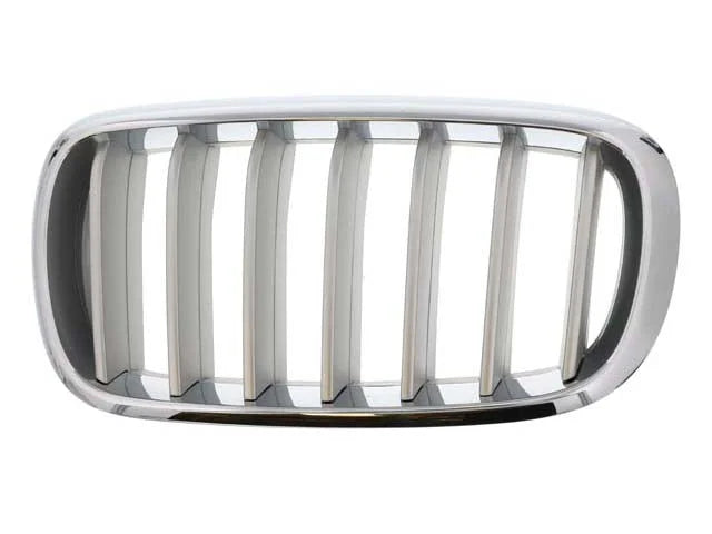 BMW Grille 51-11-7-303-107 - Main Product View