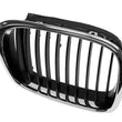 Load image into Gallery viewer, BMW Grille 51-13-7-005-838
