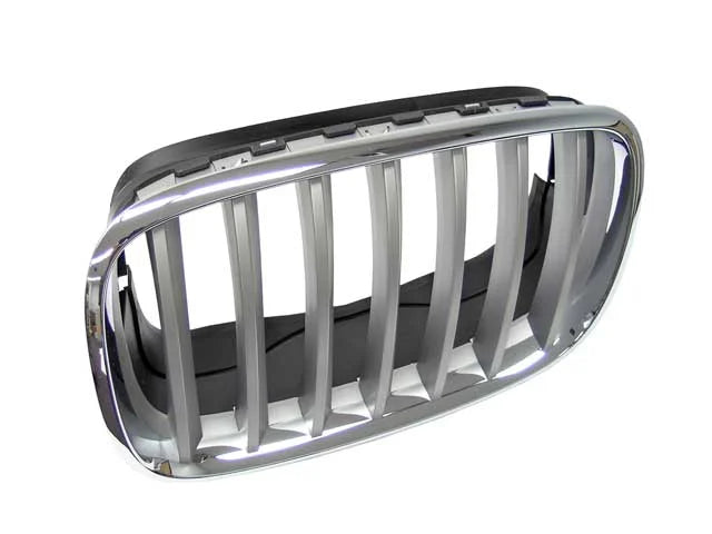 BMW Grille 51-13-7-185-223