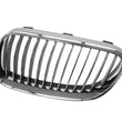 Load image into Gallery viewer, BMW Grille 51-13-7-254-969