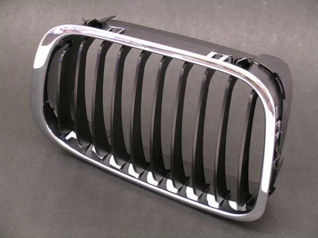 BMW Grille 51-13-8-208-487