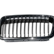 Load image into Gallery viewer, BMW Grille 51-13-8-231-595