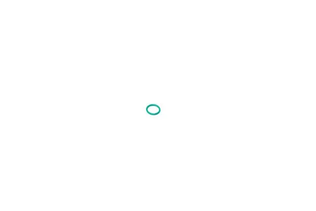 BMW O-Ring 17-22-7-581-147