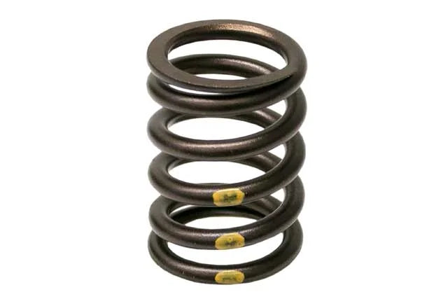 BMW Valve Spring 11-34-1-276-504