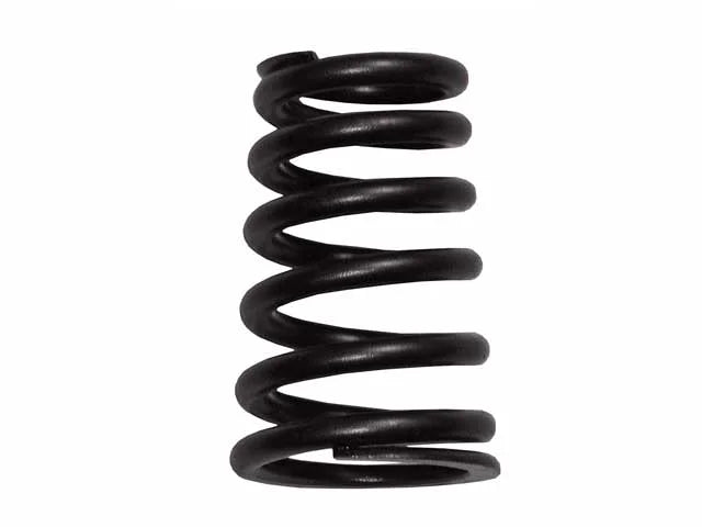 BMW Valve Spring 11-34-1-403-709