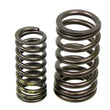 Load image into Gallery viewer, BMW Valve Spring Set 11-31-7-830-890