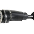 Load image into Gallery viewer, BWI Group Shock Absorber LR032560W