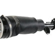 Load image into Gallery viewer, BWI Group Shock Absorber LR032567W