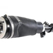 Load image into Gallery viewer, BWI Group Shock Absorber RNB000750W
