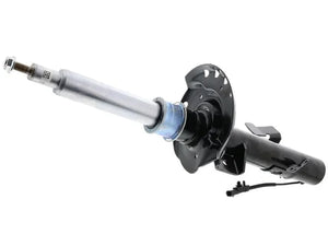 BWI Group Strut Assembly LR079422W