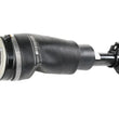 Load image into Gallery viewer, BWI Group Strut LR032563W