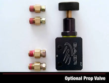 Load image into Gallery viewer, Baer Brake Systems Bolt Small Car Rear Ends w/Staggered Rear Shocks 4302133 fits Gm - Back View