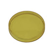 Load image into Gallery viewer, Baja Designs XL-R Rock Guard - Amber
