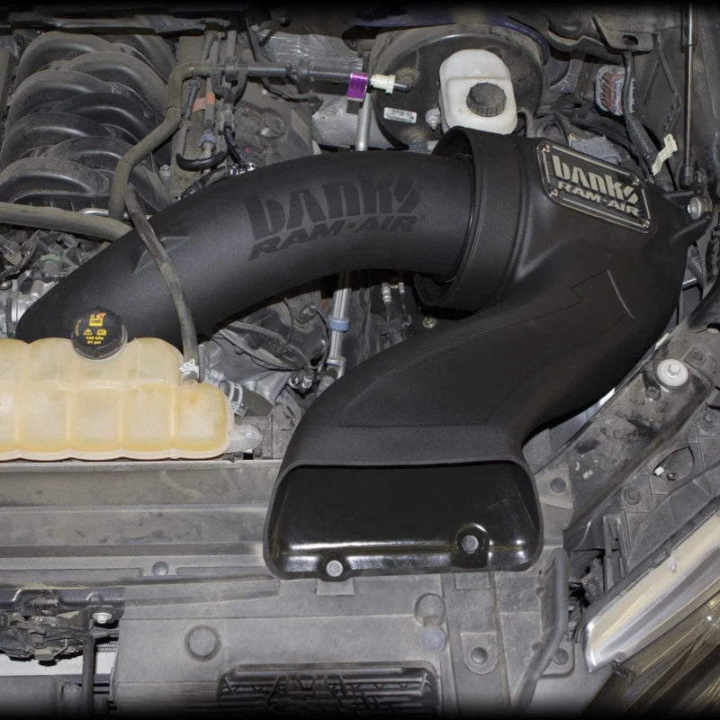 Banks Power 15-17 Ford F-150 5.0L Ram-Air Intake System - Dry Filter - Back View