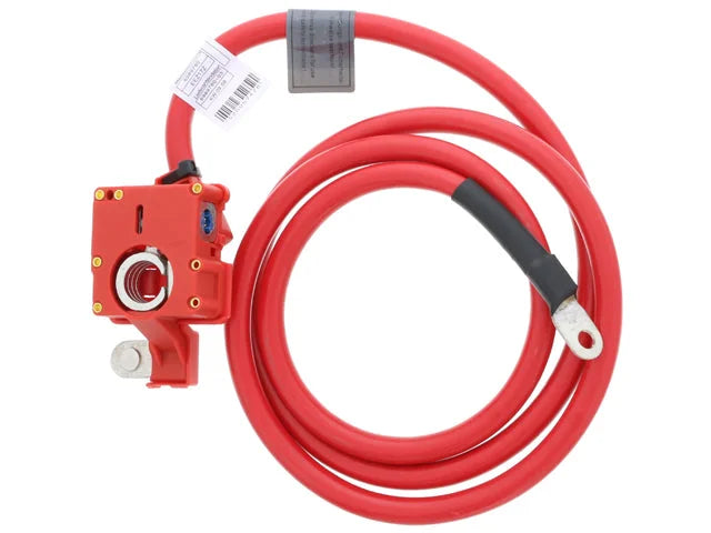 Bapmic Battery Cable BF0422930007
