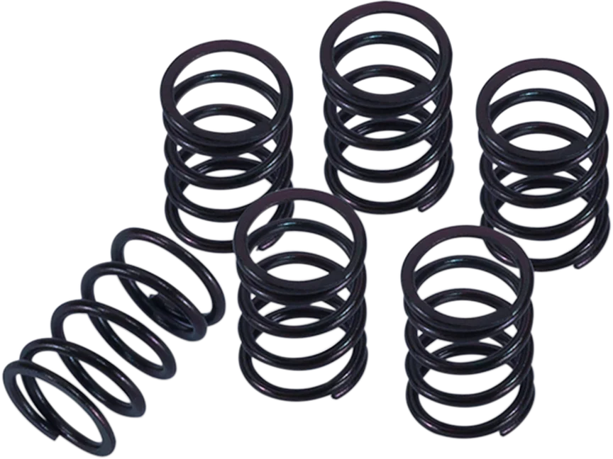 Barnett Clutch Spring Kit 501-31-06146 - Main Product View