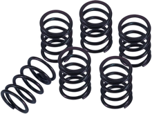 Load image into Gallery viewer, Barnett Clutch Spring Kit 501-31-06146 - Main Product View
