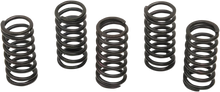 Load image into Gallery viewer, Barnett Clutch Spring Kit 501-34-05122 - Main Product View