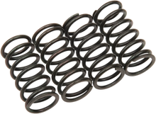 Load image into Gallery viewer, Barnett Clutch Spring Kit 501-38-04132 - Main Product View
