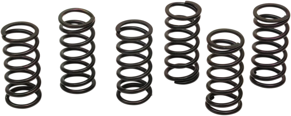 Barnett Clutch Spring Kit 501-58-06121 - Main Product View