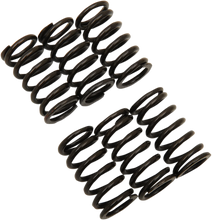 Load image into Gallery viewer, Barnett Clutch Spring Kit 501-66-06010 - Main Product View