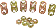 Load image into Gallery viewer, Barnett Clutch Spring Kit 505-44-06090 - Main Product View