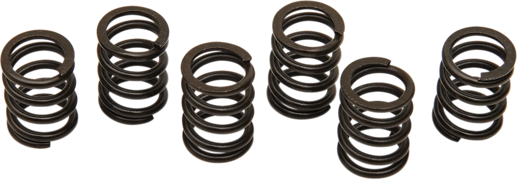 Barnett Clutch Spring Set - Main Product View