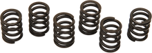 Load image into Gallery viewer, Barnett Clutch Spring Set - Main Product View