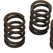 Load image into Gallery viewer, Barnett Clutch Spring Set - Main Product View