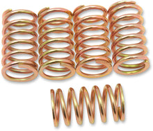 Load image into Gallery viewer, Barnett Clutch Spring Set 501-44-05002 - Main Product View