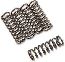 Load image into Gallery viewer, Barnett Clutch Spring Set 501-48-05129 - Main Product View