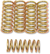Load image into Gallery viewer, Barnett Clutch Spring Set 501-50-05053 - Main Product View