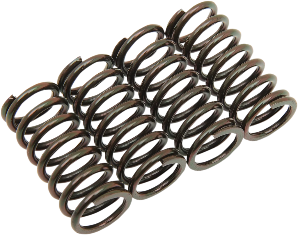 Barnett Clutch Spring Set 501-63-04014 - Main Product View