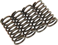 Load image into Gallery viewer, Barnett Clutch Spring Set 501-63-04014 - Main Product View